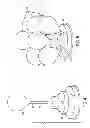 Fig. 05 - Balloon Inflation, Illumination and Holding Device