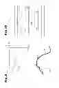 Fig. 07 - Article vacuum formation method and vacuum forming apparatus