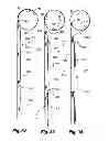 Fig. 16 - Retractable shade with collapsible vanes