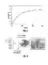 Fig. 04 - MOLECULAR FAN