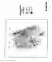 Fig. 10 - Hydraulic Fracturing Process for Deviated Wellbores