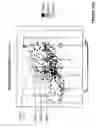Fig. 12 - Hydraulic Fracturing Process for Deviated Wellbores