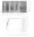 Fig. 02 - COMPOSITIONS AND METHODS FOR PREVENTING EMULSION FORMATION