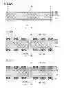Fig. 04 - Wiring substrate and method for manufacturing wiring substrate