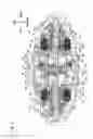 Fig. 03 - Vehicle driving device