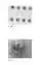 Fig. 02 - Method of plasma etching