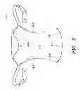 Fig. 04 - MODULAR BABY CARRIER