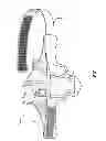 Fig. 02 - Variable position firearm holster and means of efficient weapon drawing
