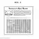 Fig. 10 - Variable formatting of digital data into a pattern