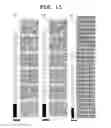 Fig. 12 - Variable formatting of digital data into a pattern
