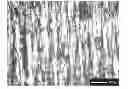 Fig. 01 - Aligned Graphene Sheets-Polymer Composite and Method for Manufacturing the Same