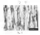 Fig. 09 - Aligned Graphene Sheets-Polymer Composite and Method for Manufacturing the Same