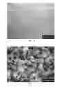 Fig. 11 - Aligned Graphene Sheets-Polymer Composite and Method for Manufacturing the Same