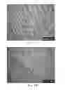 Fig. 12 - Aligned Graphene Sheets-Polymer Composite and Method for Manufacturing the Same