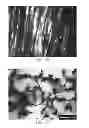 Fig. 15 - Aligned Graphene Sheets-Polymer Composite and Method for Manufacturing the Same