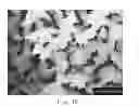 Fig. 17 - Aligned Graphene Sheets-Polymer Composite and Method for Manufacturing the Same
