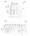 Fig. 08 - Semiconductor devices and processing methods