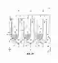 Fig. 11 - NAND memory constructions and methods of forming NAND memory constructions