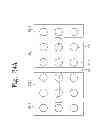 Fig. 48 - Vertical type memory device