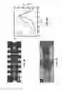 Fig. 12 - Thin film compositions and methods