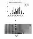 Fig. 05 - METHOD FOR FABRICATING SMALL-SCALE, CURVED, POLYMERIC STRUCTURES