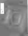 Fig. 16 - Floating Game System