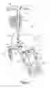 Fig. 02 - Knee-walker
