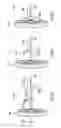 Fig. 41 - Collapsible utility cart