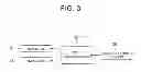 Fig. 04 - Vehicular passive safety device