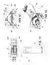 Fig. 13 - Integrated two dimensional robotic palm for variable pitch positioning of multiple transfer devices