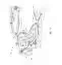 Fig. 14 - Mounting flexure contacts