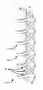 Fig. 01 - Double helix conductor