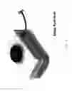 Fig. 08 - BRAKE INDICATOR