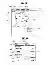 Fig. 60 - Performance monitoring systems and methods