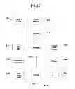 Fig. 97 - Performance monitoring systems and methods