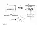 Fig. 03 - Device and method for cognitive radar information network