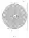 Fig. 07 - Pie shape phased array antenna design
