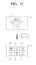 Fig. 12 - FLEXIBLE APPARATUS AND CONTROL METHOD THEREOF