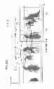 Fig. 22 - Image processing device, image processing method, and program