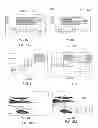 Fig. 07 - Displaying second augmentations that are based on registered first augmentations