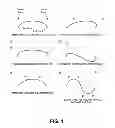 Fig. 02 - SYSTEM AND METHOD FOR GENERATION AND MANIPULATION OF A CURVE IN A DYNAMIC GRAPH BASED ON USER INPUT