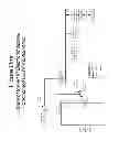Fig. 02 - Device and system for electronic access control and surveillance