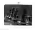 Fig. 08 - Method, apparatus and computer-readable recording medium for refocusing photographed image