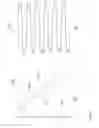 Fig. 06 - Variable and serrated scanning in laser projectors