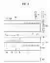 Fig. 02 - Polarizer, liquid crystal display, and manufacturing method thereof