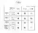Fig. 07 - CONTACT LENS AND MANUFACTURING METHOD THEREOF