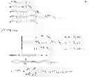 Fig. 54 - Method for calculating and optimizing an eyeglass lens taking into consideration higher-order imaging errors