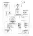 Fig. 08 - Diagnostic, prescriptive, and data-gathering system and method for macular pigment deficits and other eye disorders