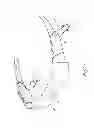 Fig. 02 - Wearable high resolution audio visual interface