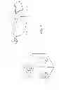 Fig. 07 - Wearable high resolution audio visual interface